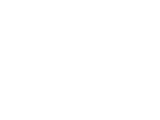 Affordable Insurance logo